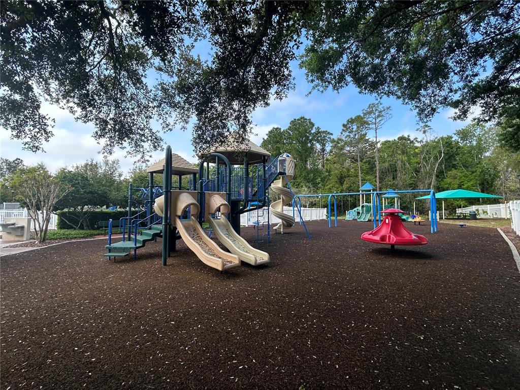 5856 Count Turf Lane Wesley Chapel, FL 33544 - Photo 43 of 57 a view of outdoor space with playground and green space
