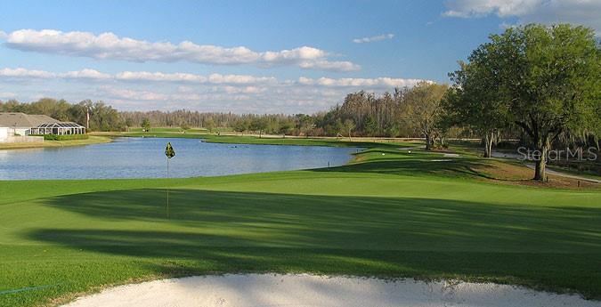 5856 Count Turf Lane Wesley Chapel, FL 33544 - Photo 50 of 57 a view of a lake with houses in the background