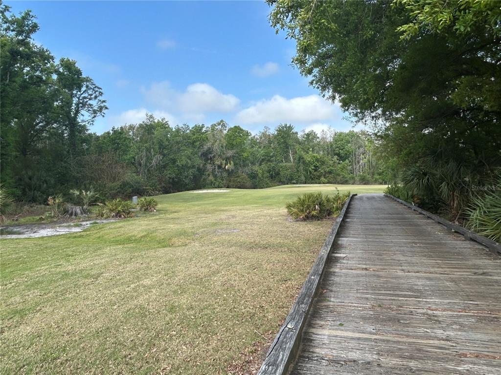 5856 Count Turf Lane Wesley Chapel, FL 33544 - Photo 52 of 57 a view of an outdoor space and a yard
