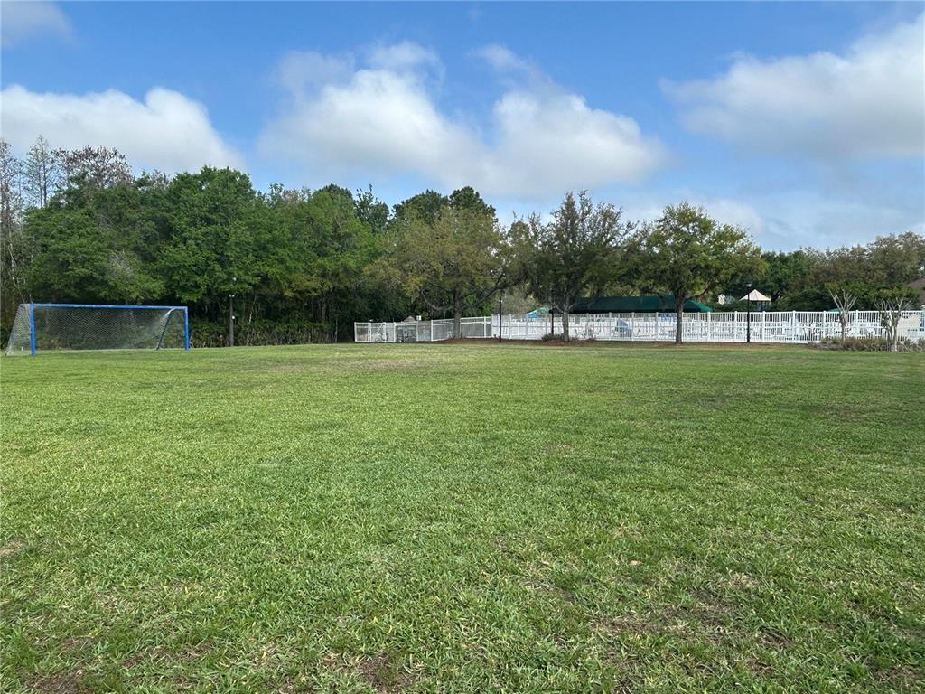 5856 Count Turf Lane Wesley Chapel, FL 33544 - Photo 54 of 57 a view of a swimming pool with a yard