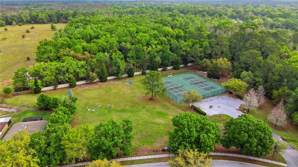 5856 Count Turf Lane Wesley Chapel, FL 33544 - Photo 57 of 57 an aerial view of a houses with yard