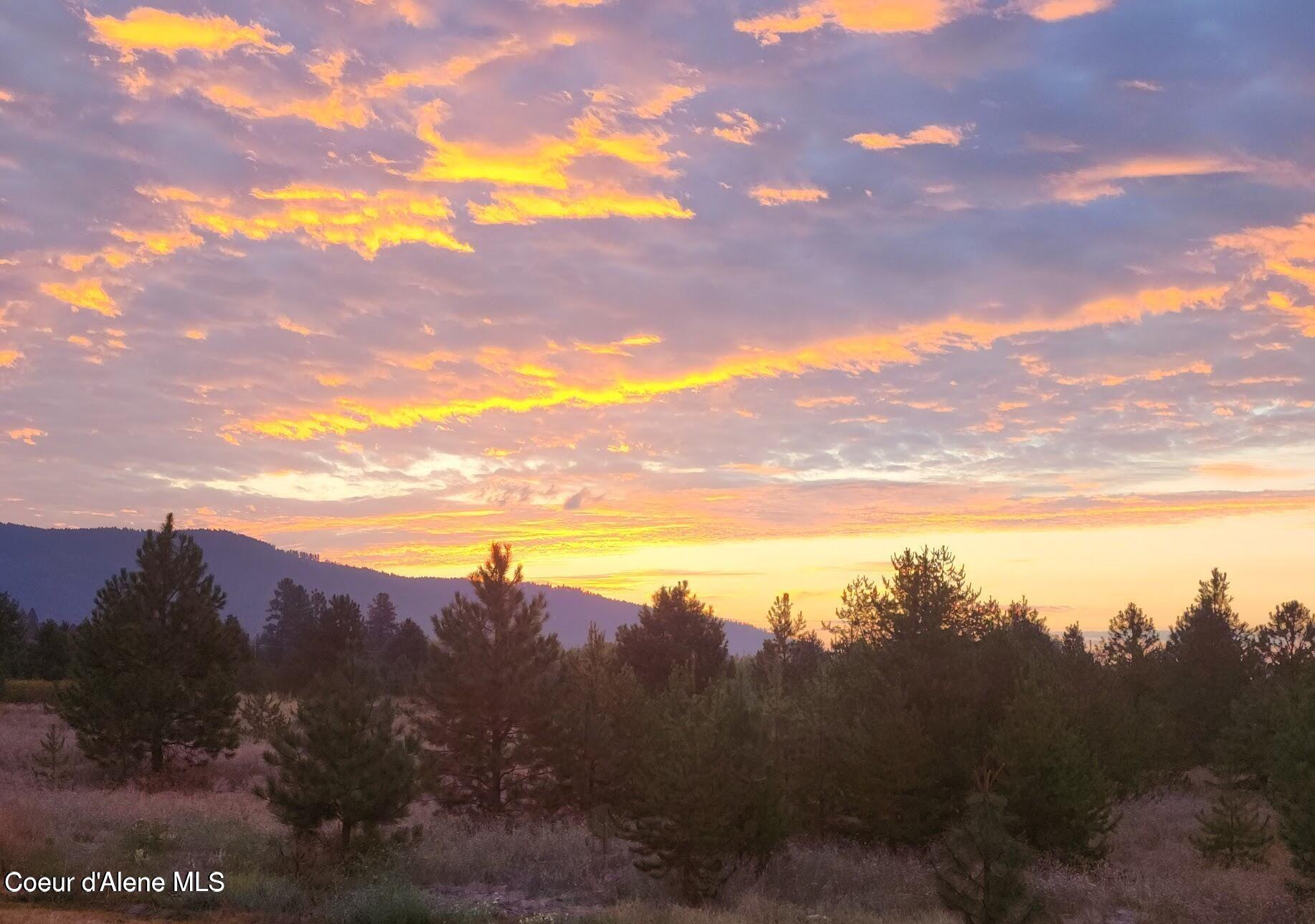43 Sand Trap Lane Blanchard, ID 83804 - Photo 7 of 12 20240417205726698000000000-o