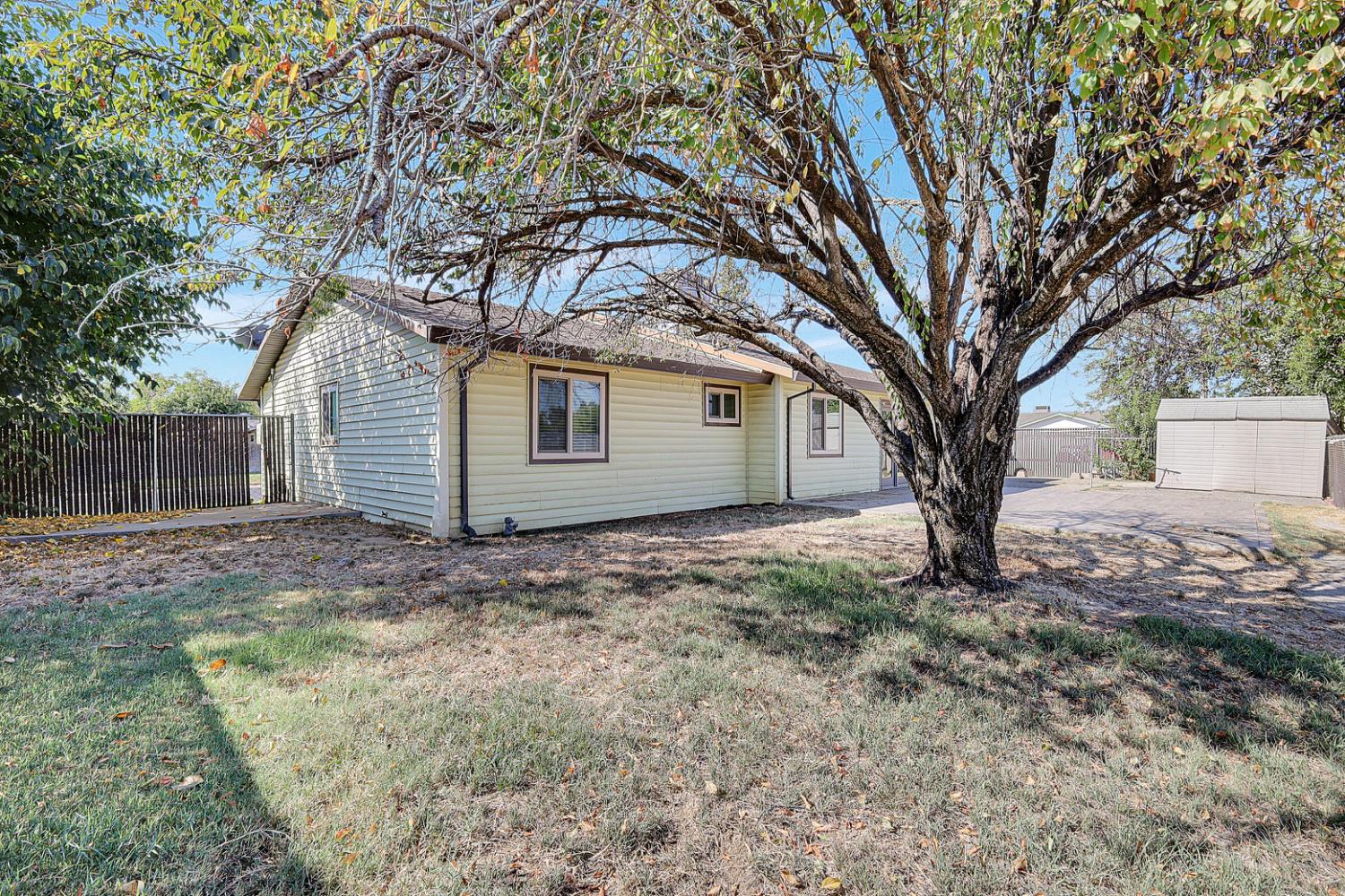 4294 Lever Avenue Olivehurst, CA 95961 - Photo 32 of 32 a tree in front of a white house