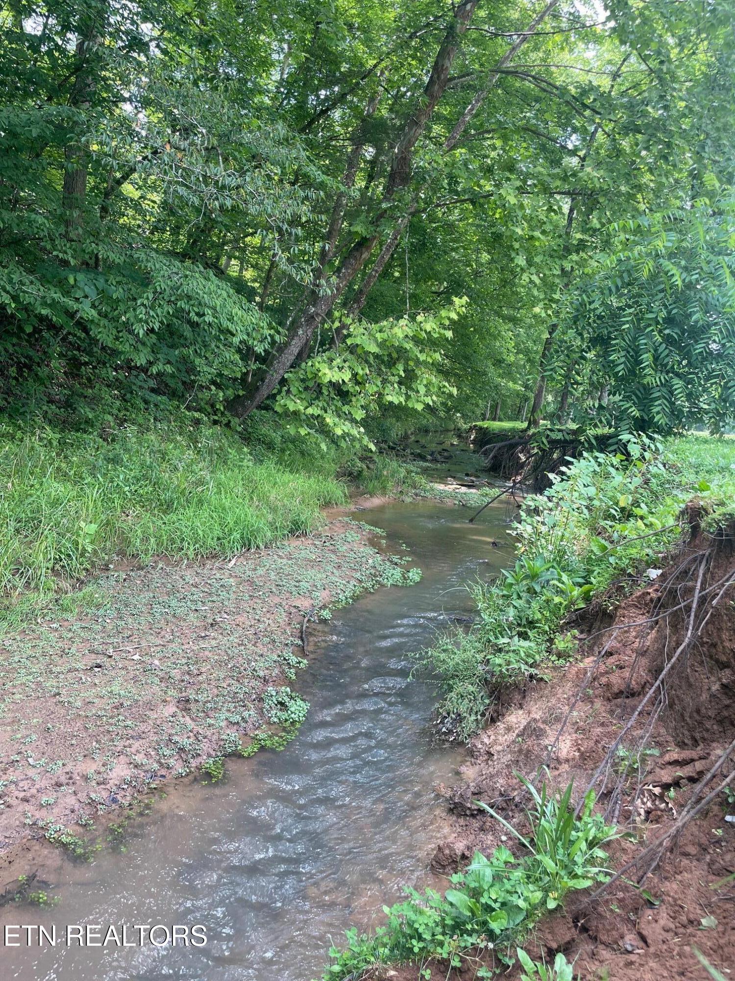 286 JD Farm Road Tellico Plains, TN 37385 - Photo 7 of 58 SUMMER CREEK