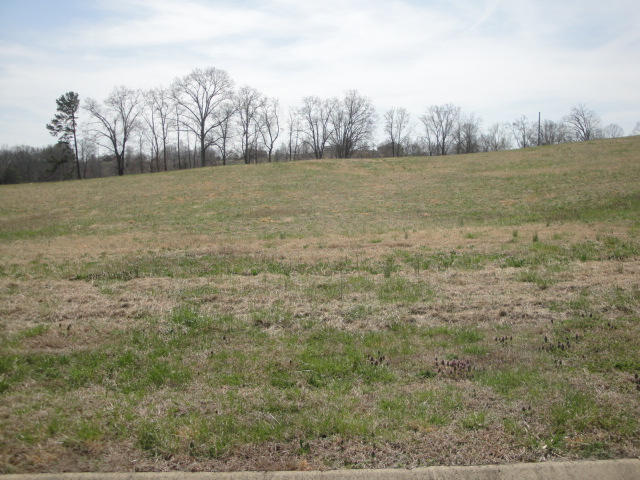Lot 44 Chippewa Lane Rutledge, TN 37861 - Photo 2 of 2 Lot 44
