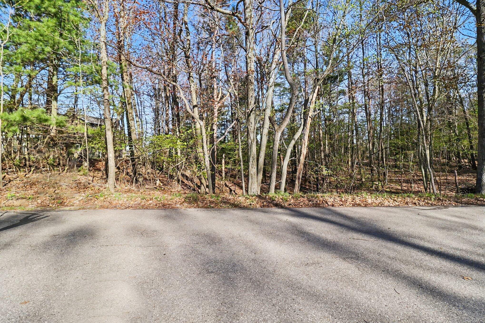 Lot 11 North Silver Ridge Road Mears, MI 49436 - Photo 5 of 25 file_2728