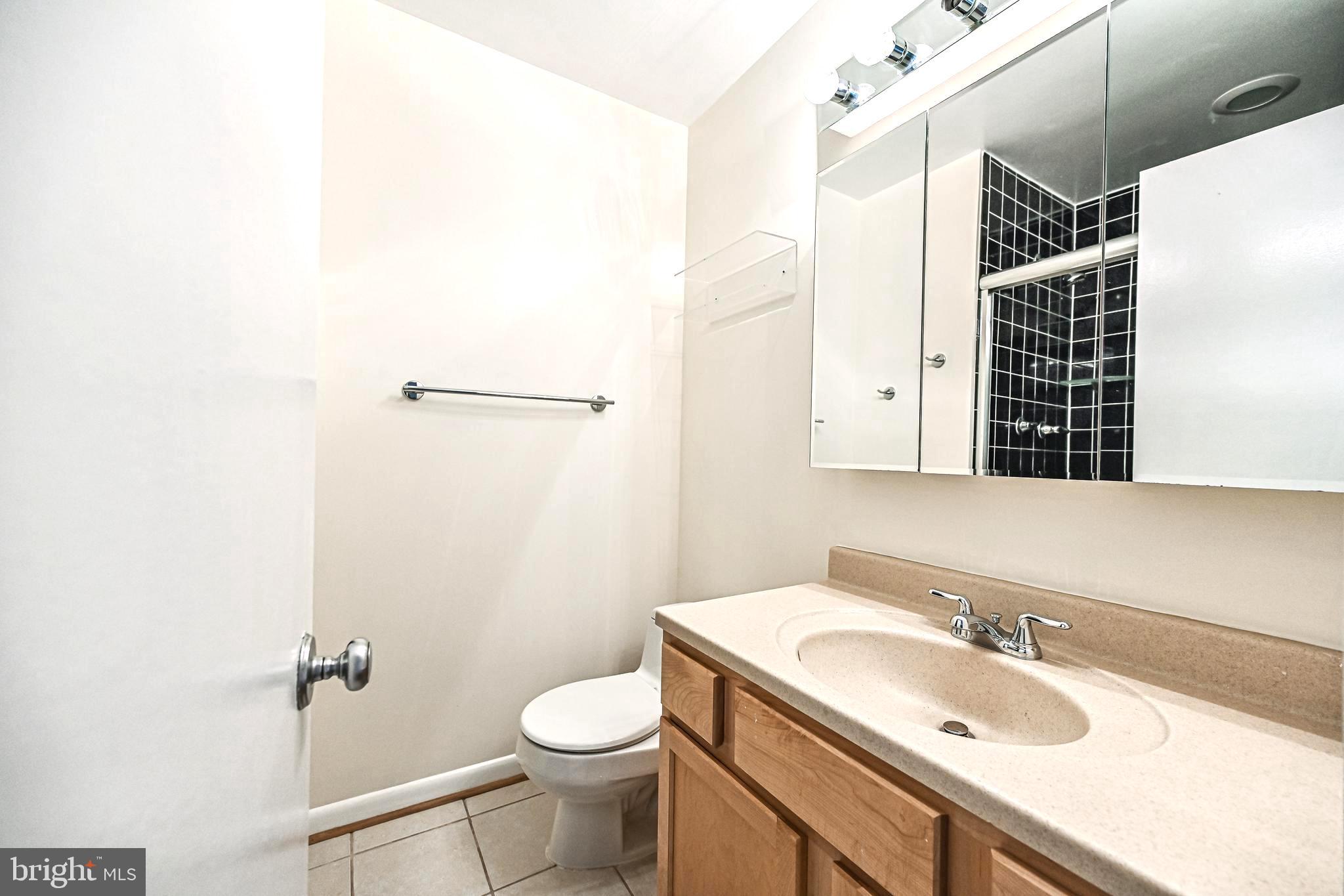 1664 Wainwright Drive Reston, VA 20190 - Photo 16 of 41 Master Bath Pic 1