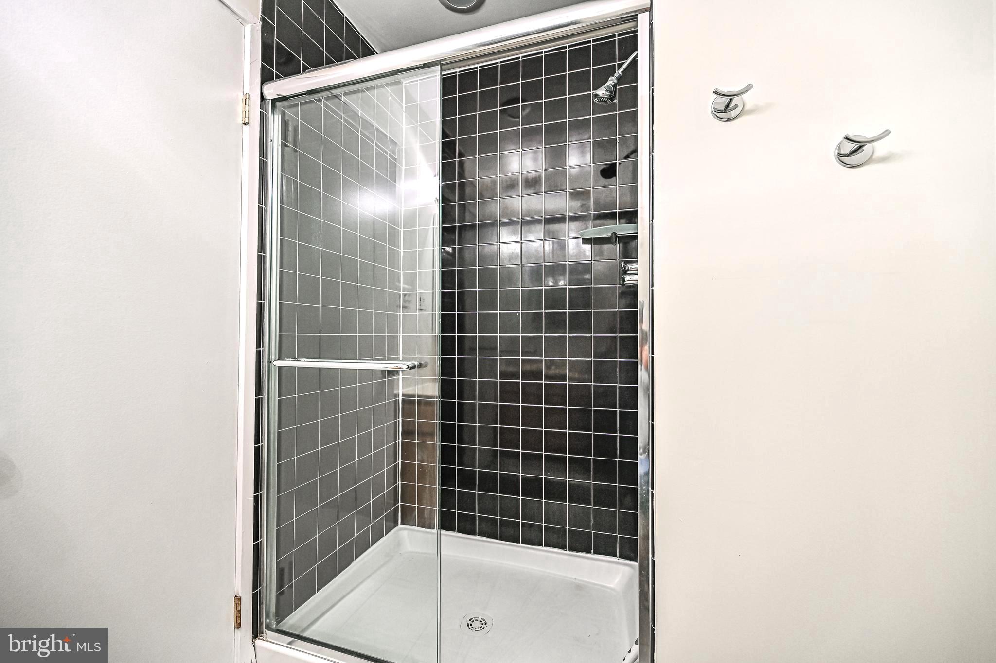 1664 Wainwright Drive Reston, VA 20190 - Photo 17 of 41 Master Bath Pic 2