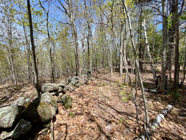 1029 N Road Parsonsfield, ME 04047 - Photo 15 of 27 IMG_5207