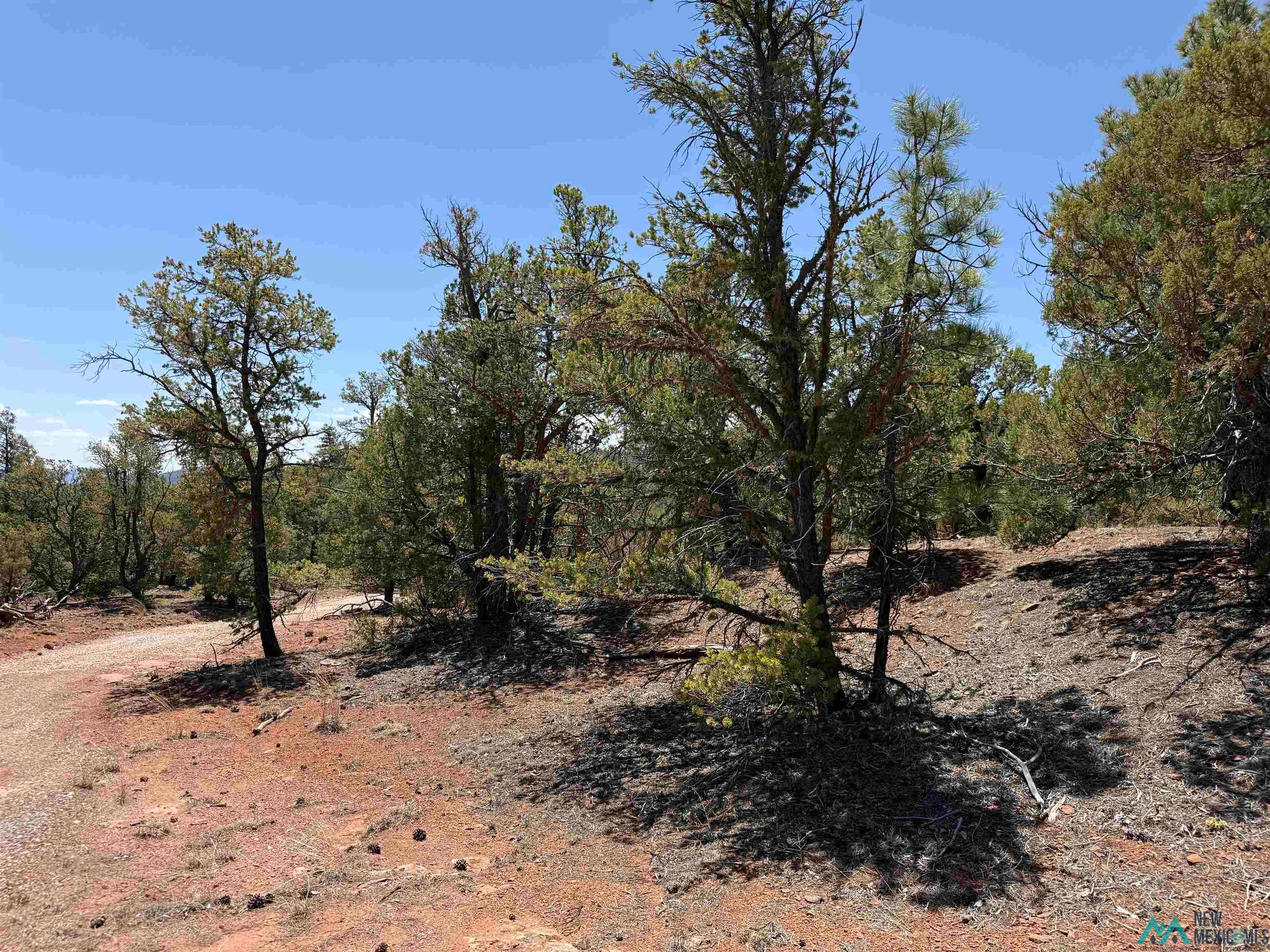 Tbd Tbd Little Arrow Road Grants, NM 87020 - Photo 10 of 69