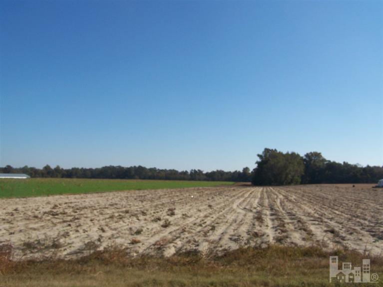 3600 Basstown Road Clinton, NC 28328 - Photo 1 of 1 Primary Photo