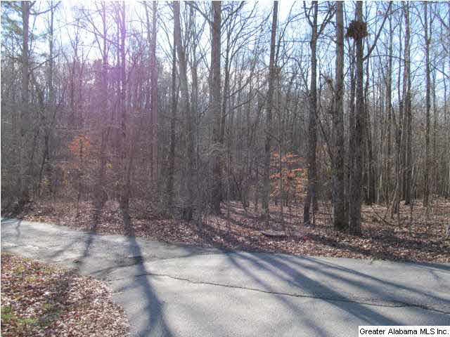 1 Signal Valley Trail Chelsea, AL 35043 - Photo 3 of 10