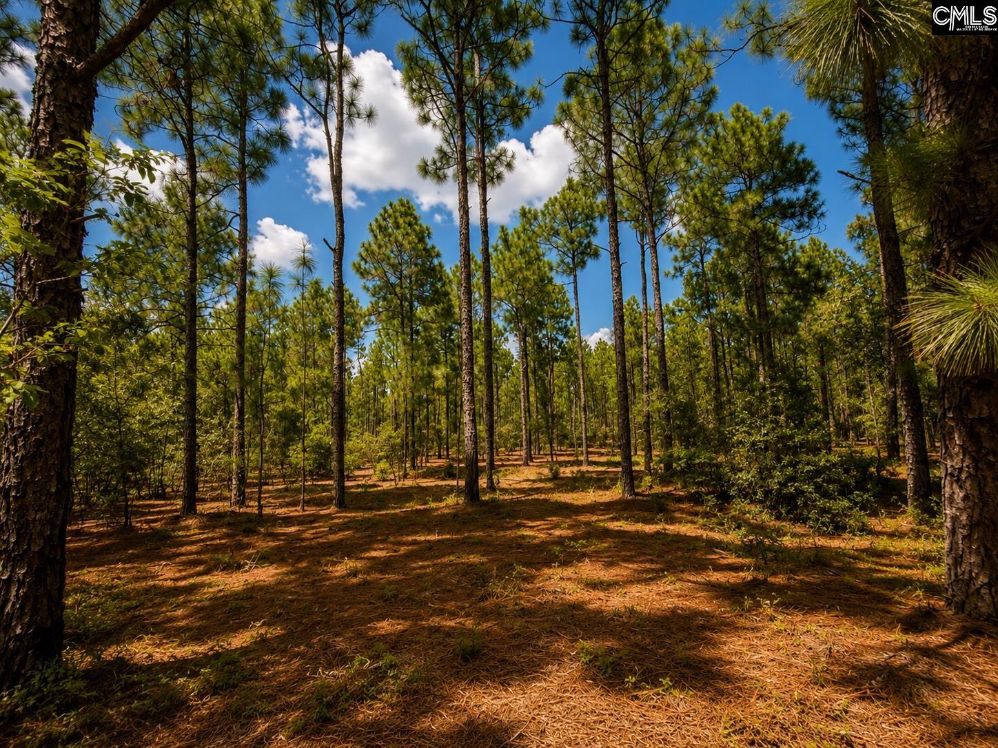 Tbd Fairview Road, Unit PARCEL 1 Leesville, SC 29070 - Photo 3 of 16 Gallery Image 3