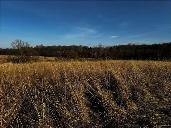 $843,500 | County Road, Hopkins, MO 64461