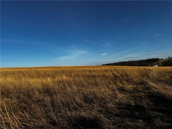 $843,500 | County Road, Hopkins, MO 64461