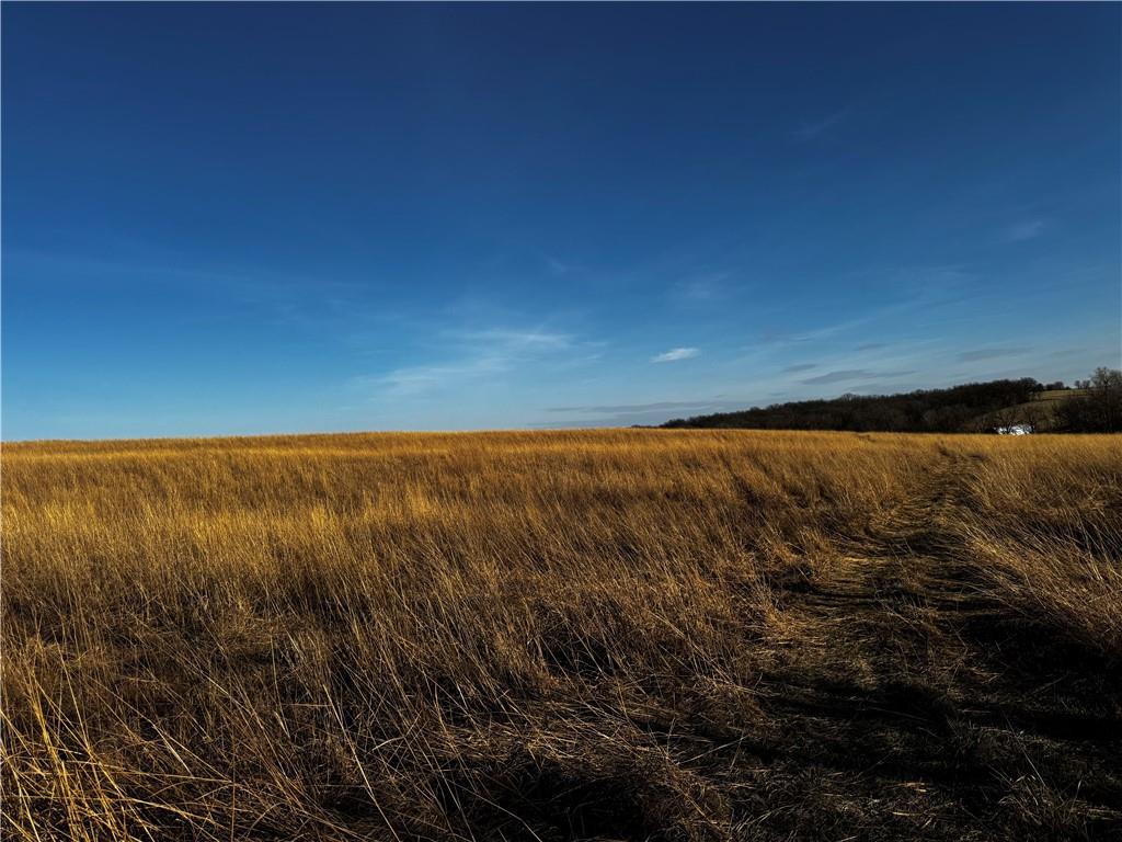 County Road Hopkins, MO 64461 - Photo 12 of 13