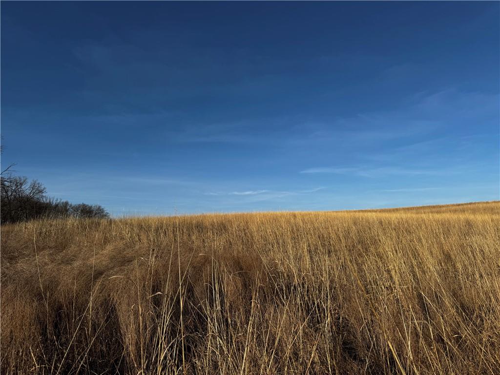 County Road Hopkins, MO 64461 - Photo 13 of 13