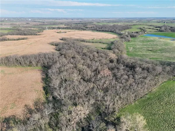 $843,500 | County Road, Hopkins, MO 64461