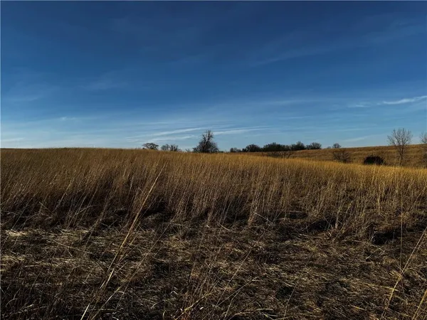 $843,500 | County Road, Hopkins, MO 64461