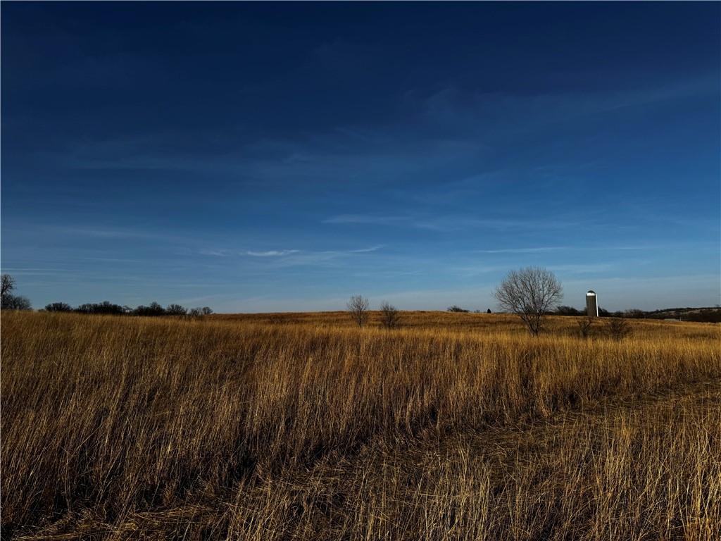 County Road Hopkins, MO 64461 - Photo 4 of 13