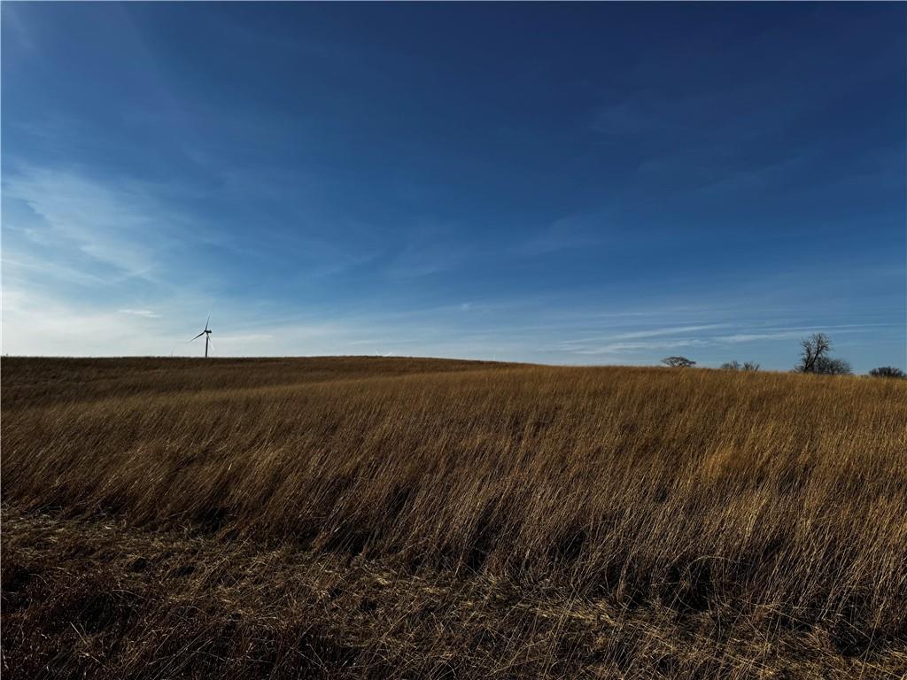County Road Hopkins, MO 64461 - Photo 5 of 13