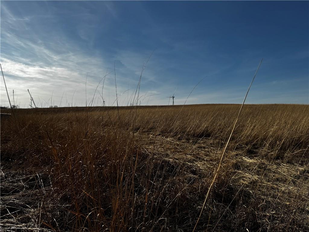 County Road Hopkins, MO 64461 - Photo 6 of 13