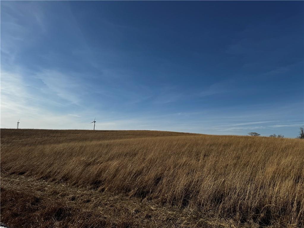 County Road Hopkins, MO 64461 - Photo 8 of 13