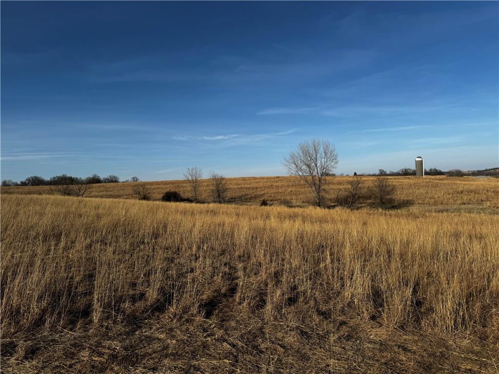 County Road Hopkins, MO 64461 - Photo 9 of 13