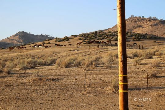 Caliente Creek Road Caliente, CA 93518 - Photo 6 of 7
