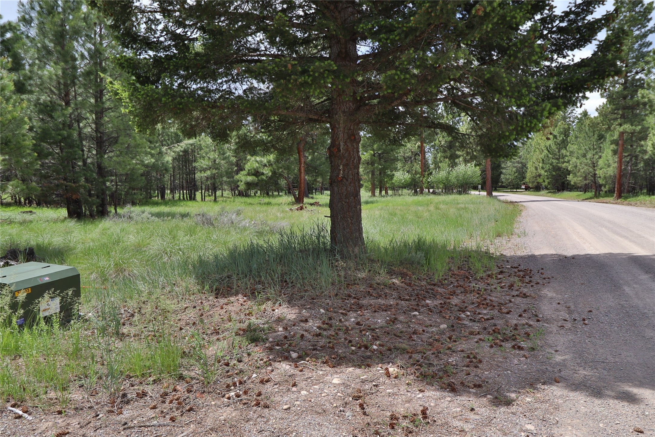 4587 Patterson Loop Lincoln, MT 59639 - Photo 14 of 21 Gallery Image 14