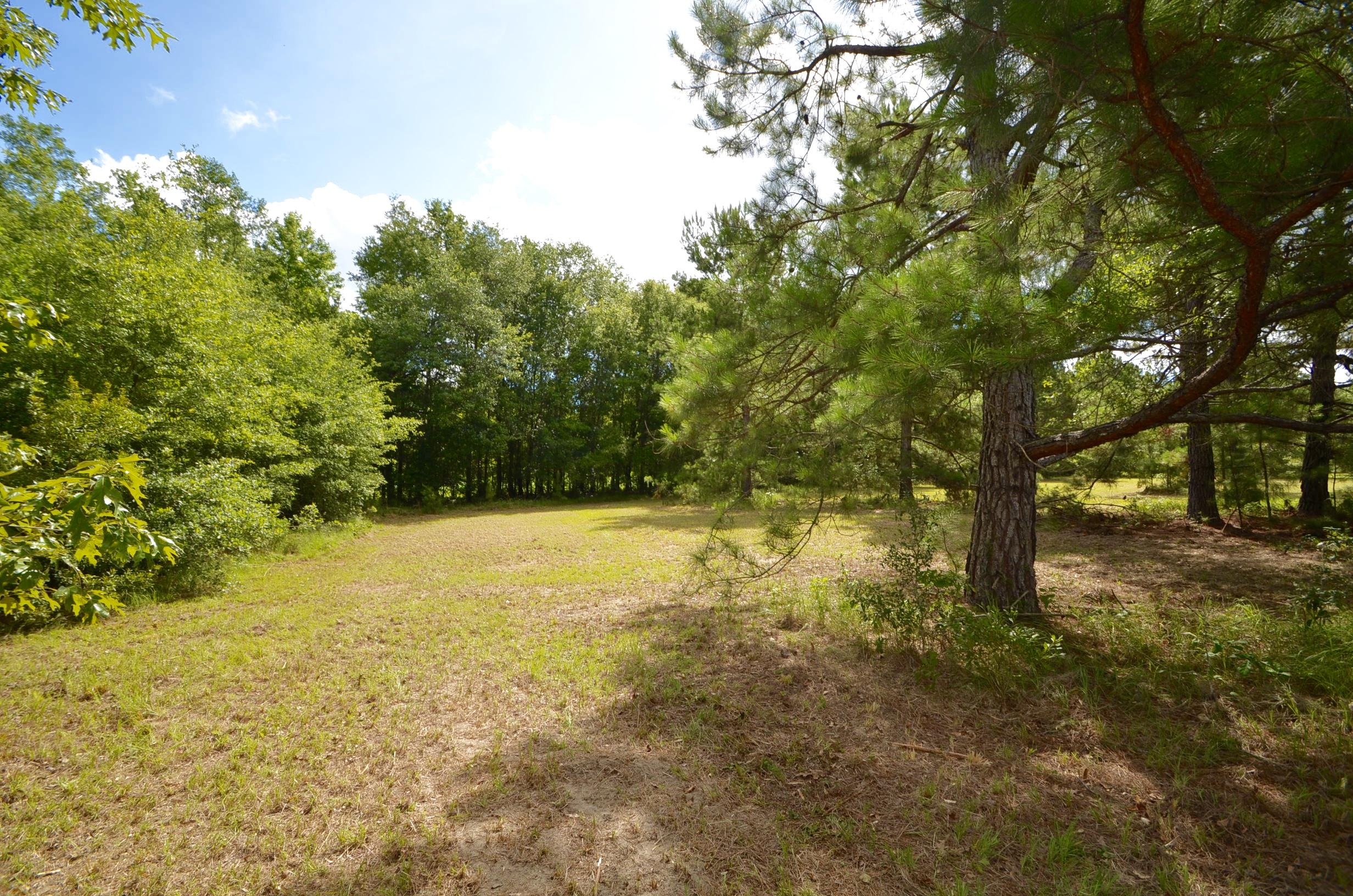 115 Flag Way St. Stephen, SC 29479 - Photo 11 of 22 DSC_0011
