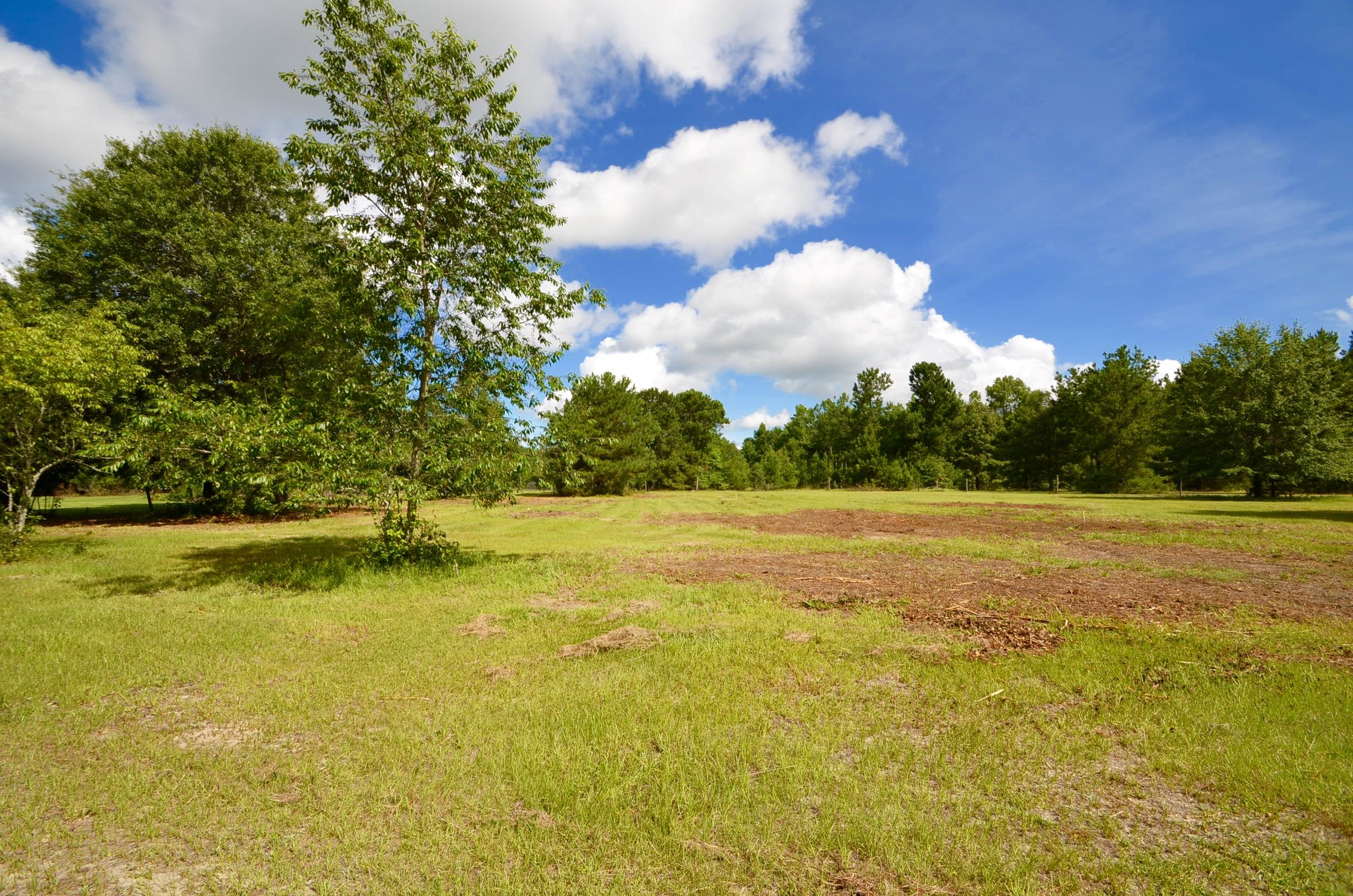 115 Flag Way St. Stephen, SC 29479 - Photo 3 of 22 DSC_0008