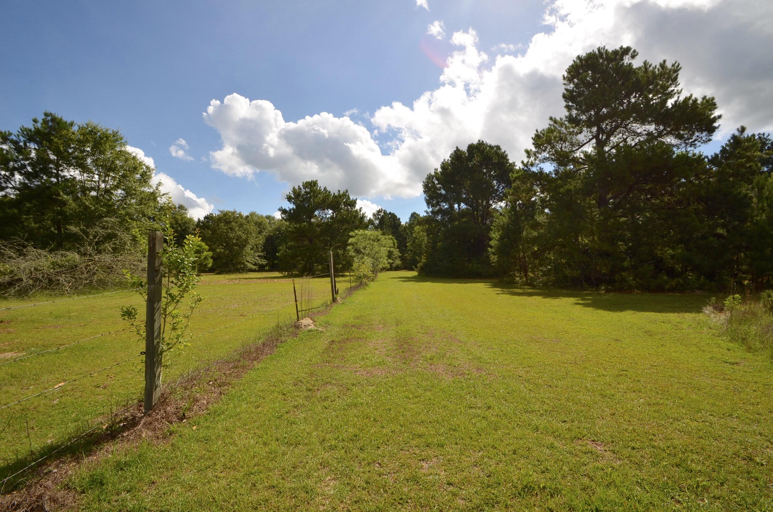 115 Flag Way St. Stephen, SC 29479 - Photo 4 of 22 DSC_0009
