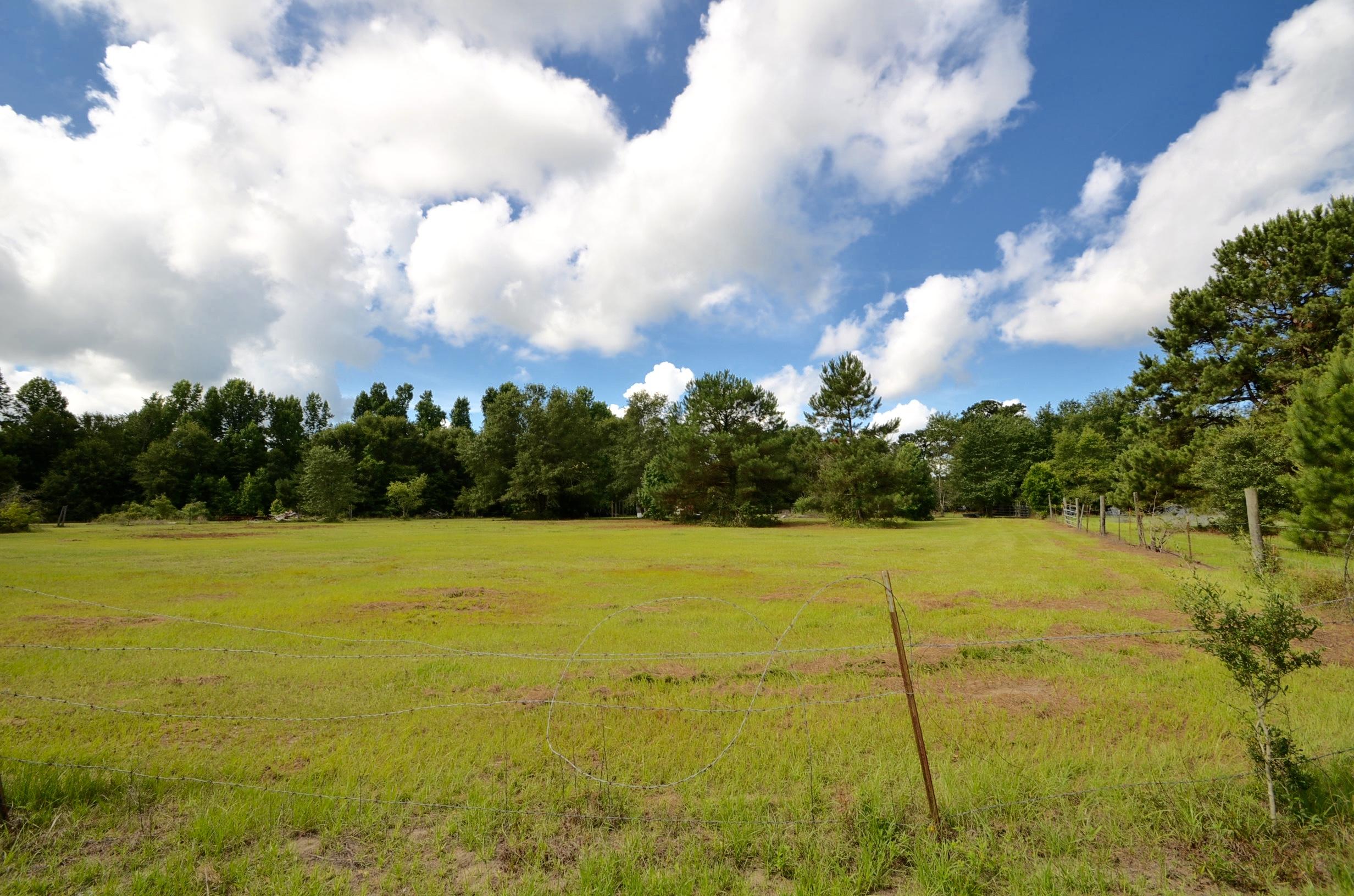 115 Flag Way St. Stephen, SC 29479 - Photo 6 of 22 DSC_0012