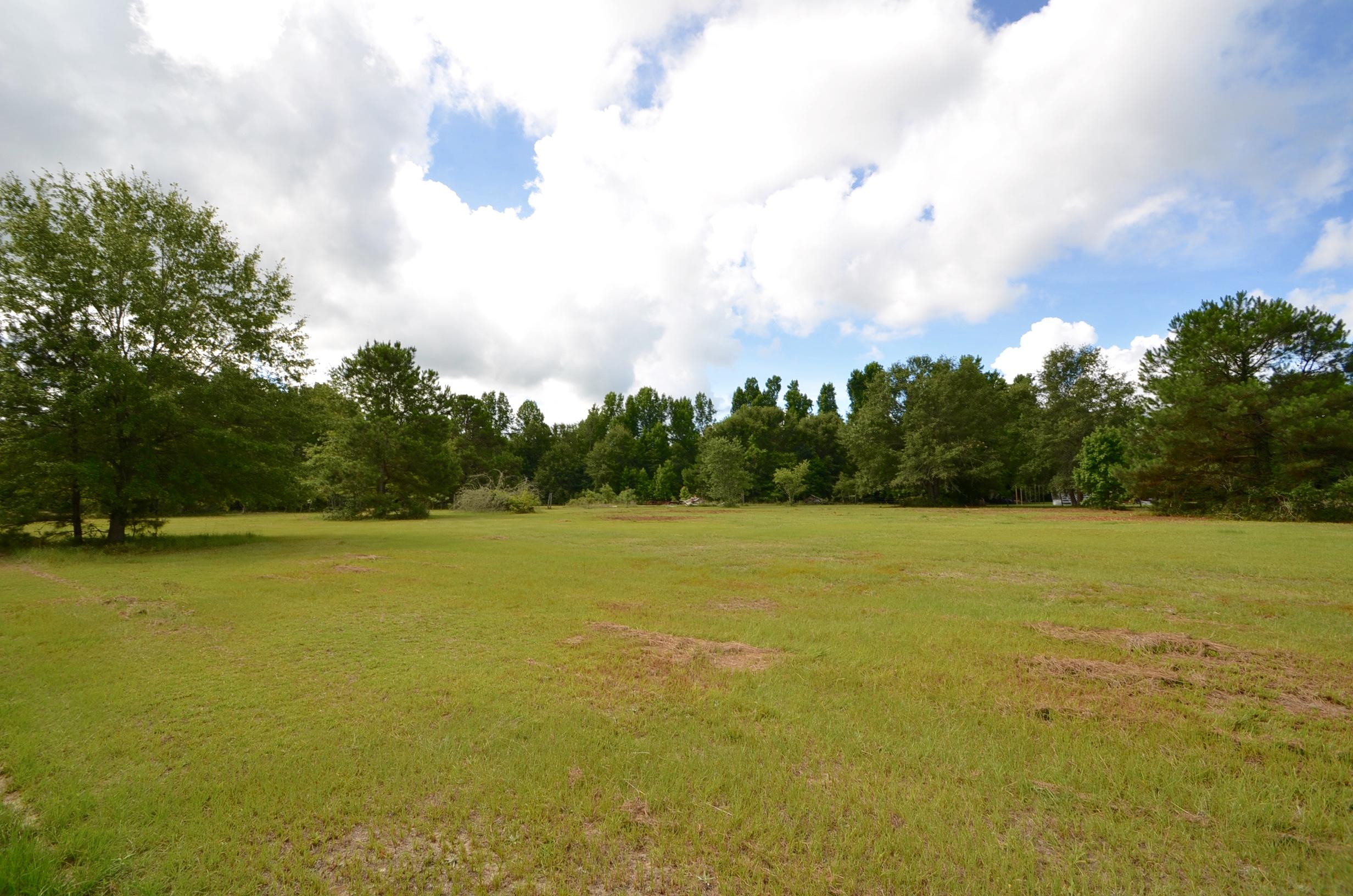 115 Flag Way St. Stephen, SC 29479 - Photo 7 of 22 DSC_0013