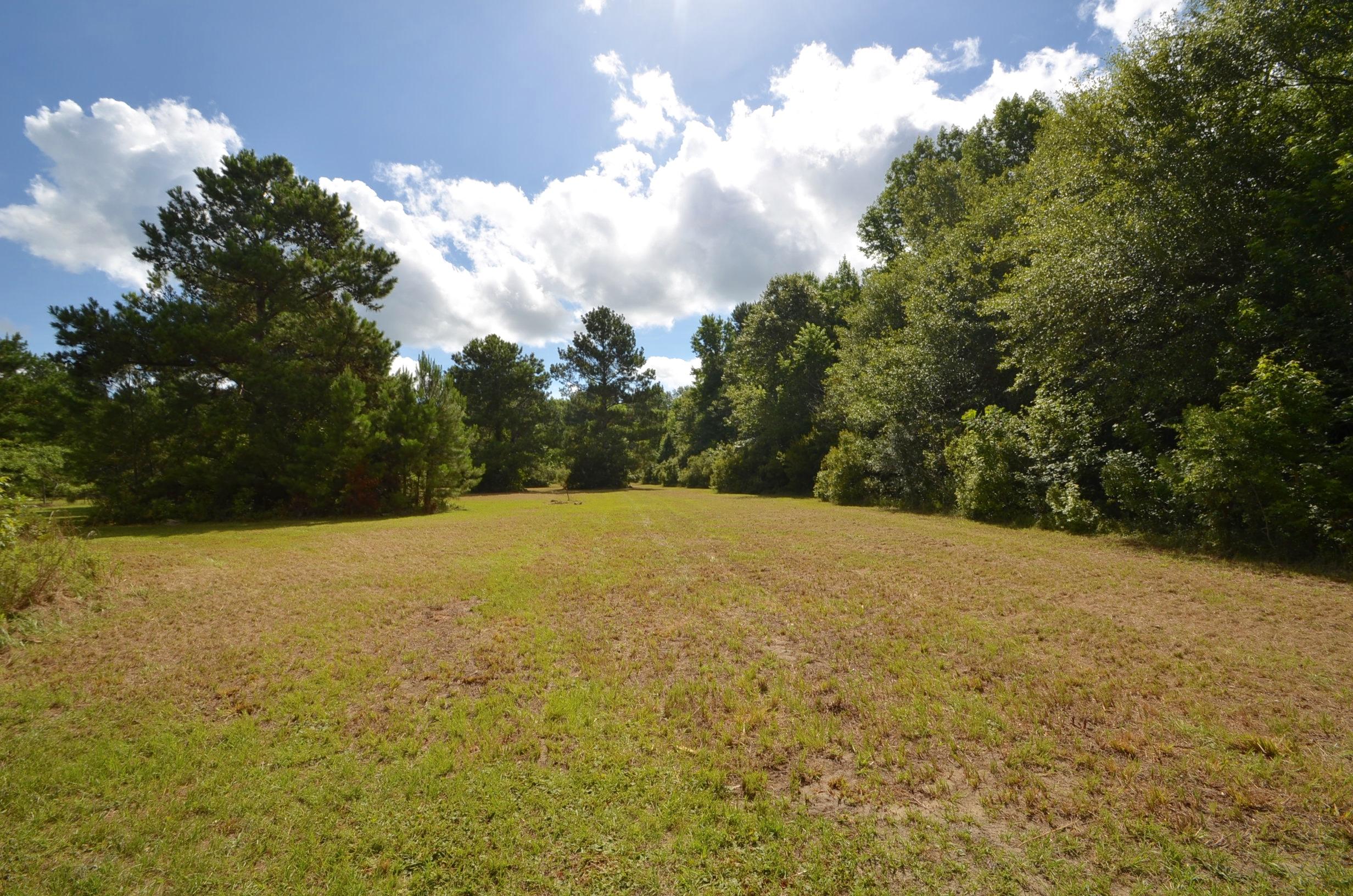 115 Flag Way St. Stephen, SC 29479 - Photo 8 of 22 DSC_0005