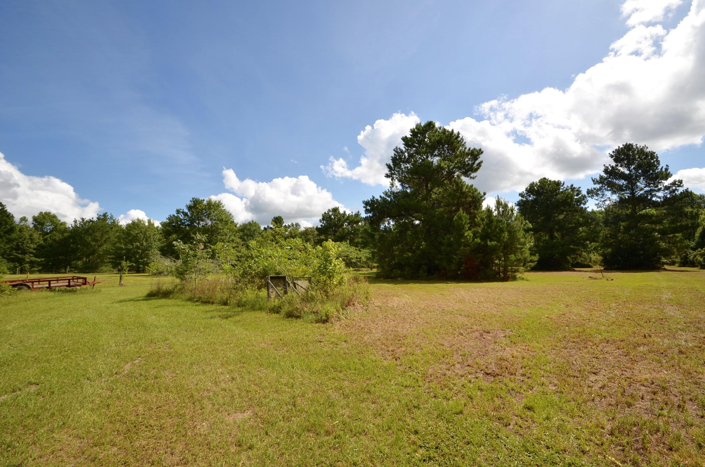 115 Flag Way St. Stephen, SC 29479 - Photo 9 of 22 DSC_0006