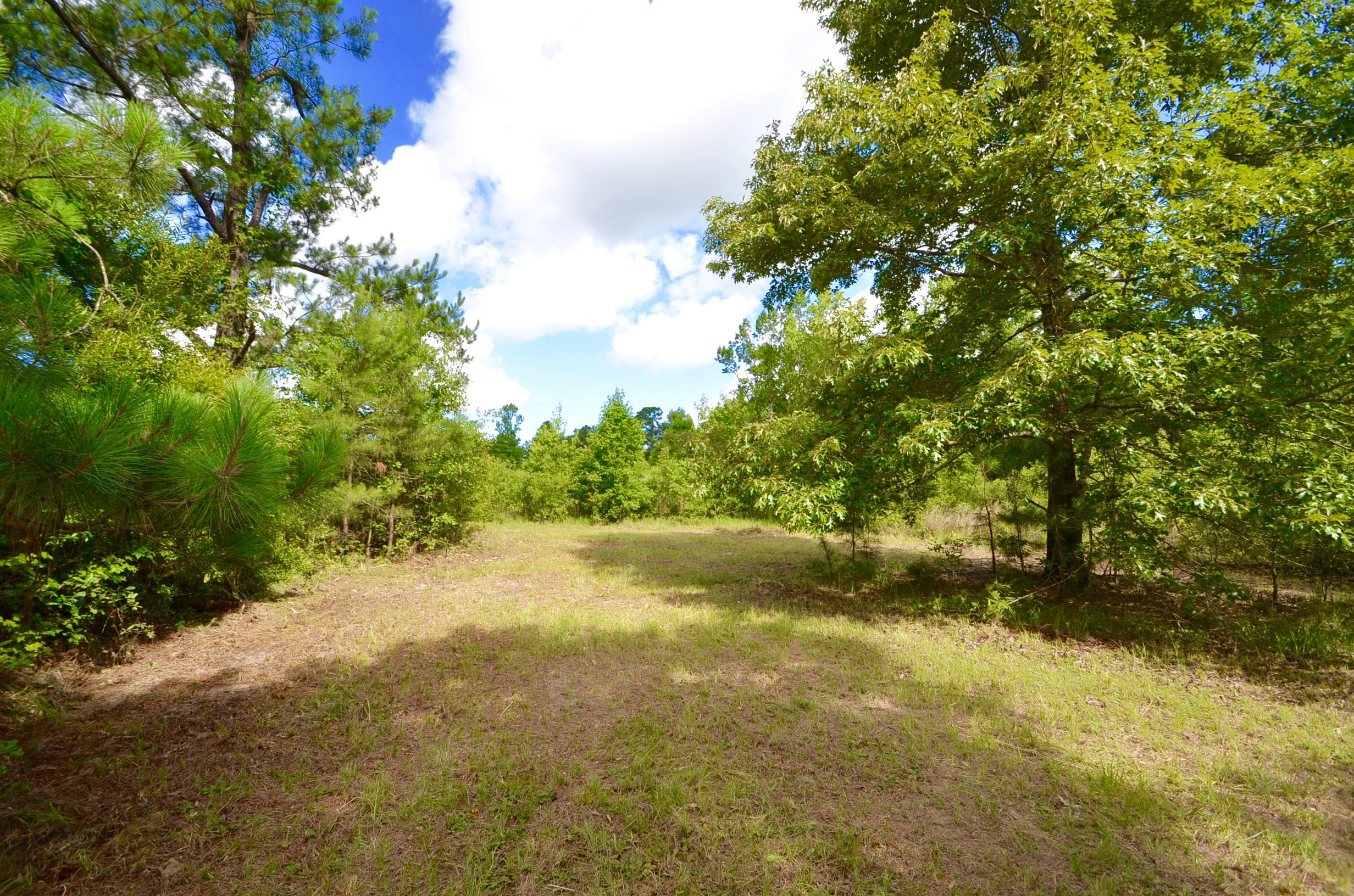 115 Flag Way St. Stephen, SC 29479 - Photo 10 of 22 DSC_0010
