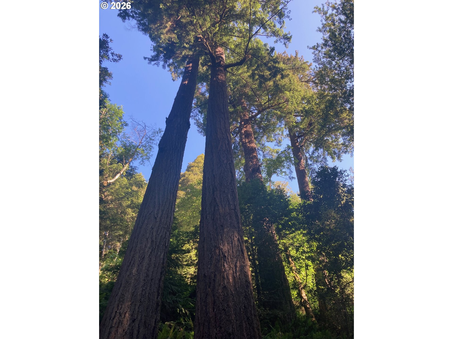 North Bank Road, Unit 201 Gold Beach, OR 97444 - Photo 14 of 19