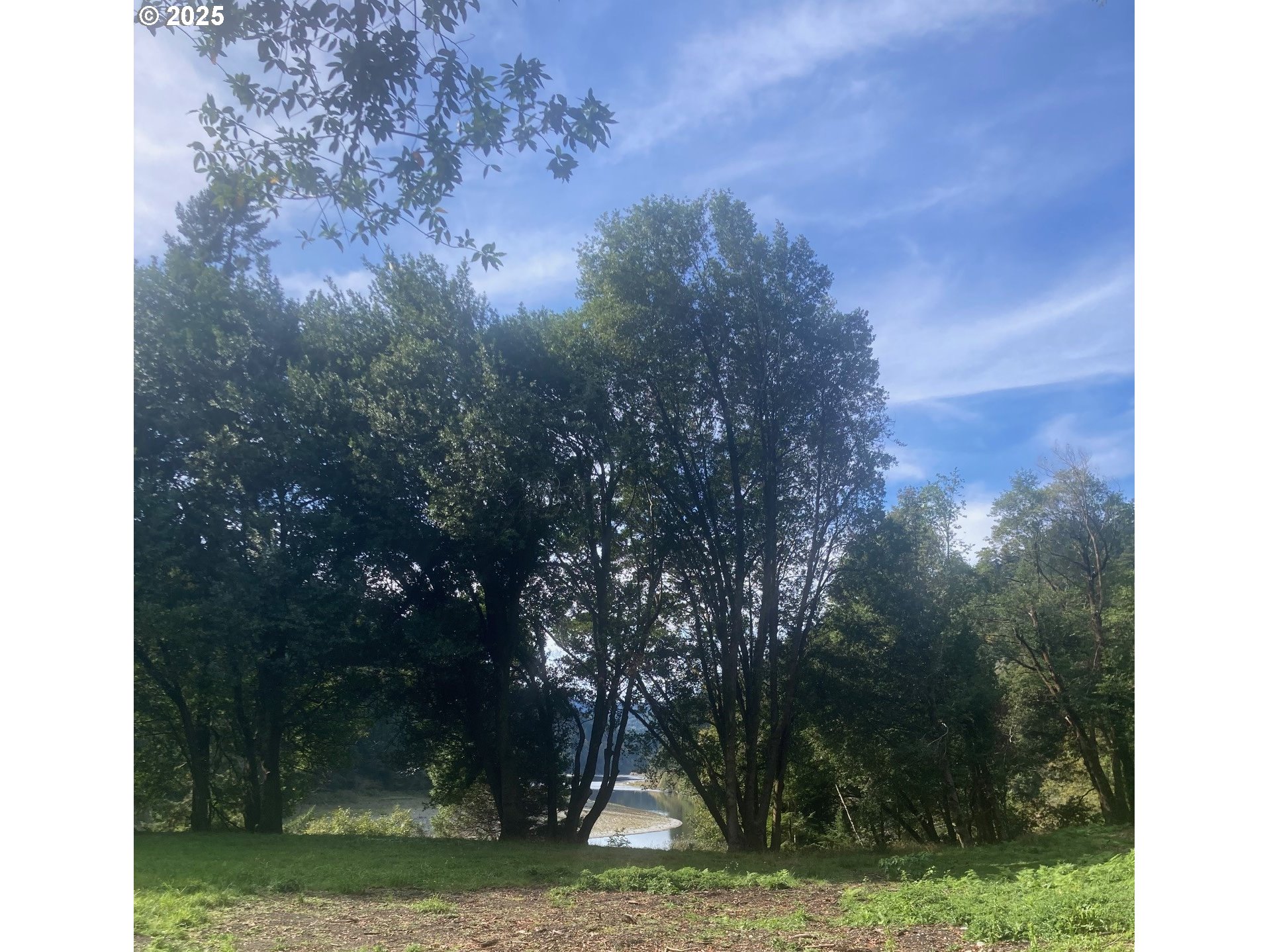 North Bank Road, Unit 201 Gold Beach, OR 97444 - Photo 2 of 7 a view of a field with a tree in the background