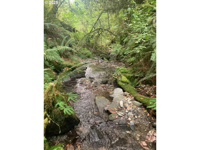 a close up of a plant in a garden