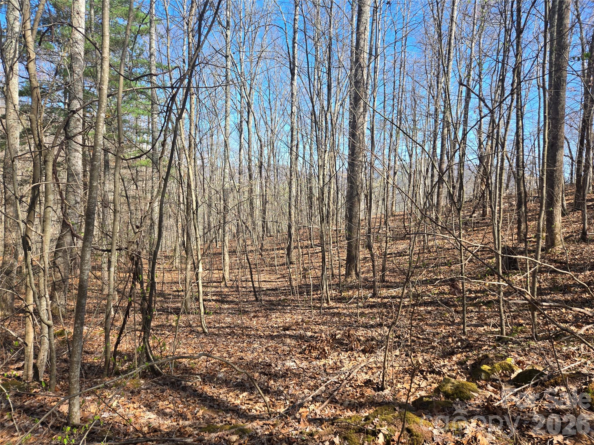 0 Brasstown Road Cullowhee, NC 28723 - Photo 23 of 37 Gallery Image 23