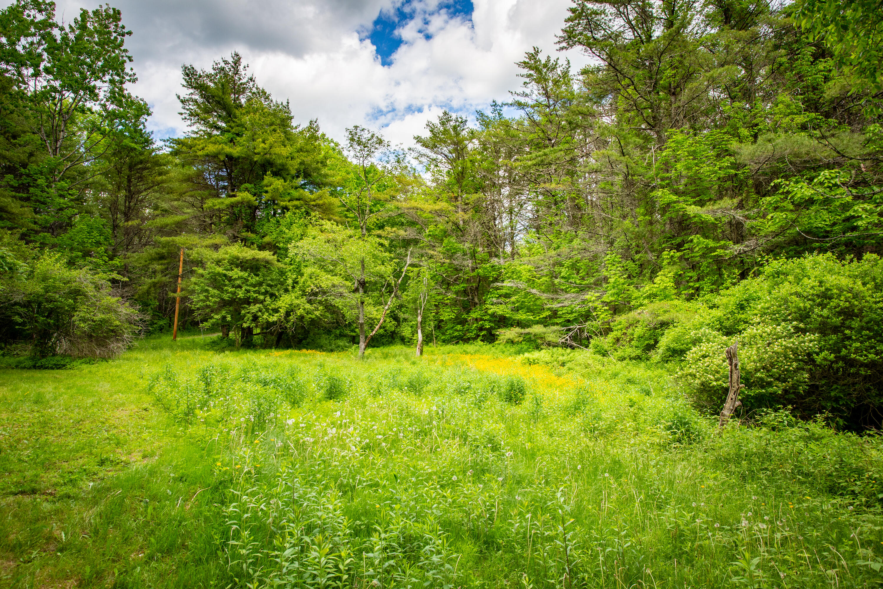 Lot 22 Bristol Road Bristol, ME 04539 - Photo 13 of 24 01-000BristolRd-Bristol-KS