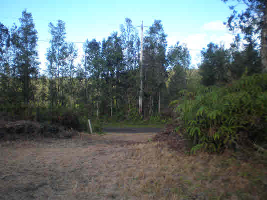 842 Molokai Road Pahoa, HI 96778 - Photo 4 of 14 Gallery Image 4