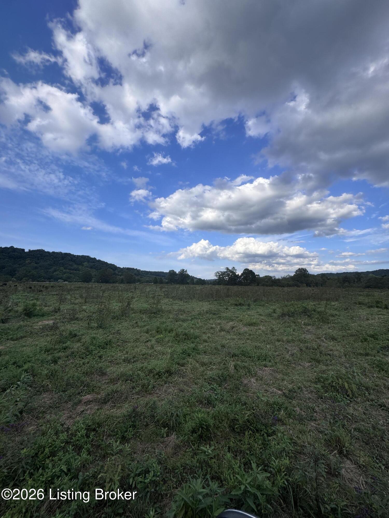 1 Stephanus Road Sanders, KY 41083 - Photo 13 of 18 IMG_3592