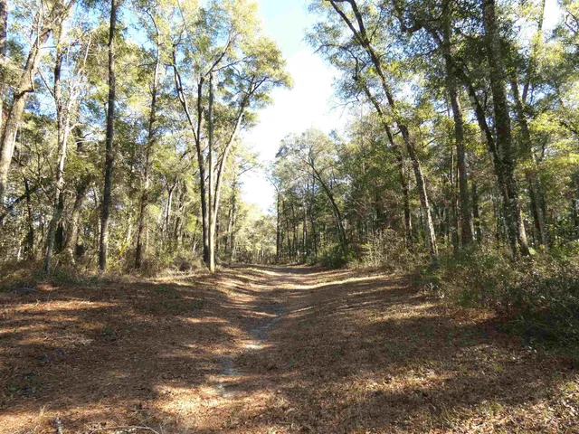 $549,000 | 640 Nautilus Drive, Monticello, FL 32344