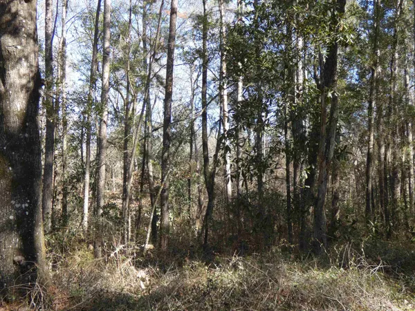 $549,000 | 640 Nautilus Drive, Monticello, FL 32344