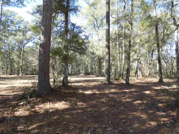 $549,000 | 640 Nautilus Drive, Monticello, FL 32344