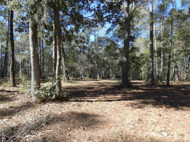 $549,000 | 640 Nautilus Drive, Monticello, FL 32344