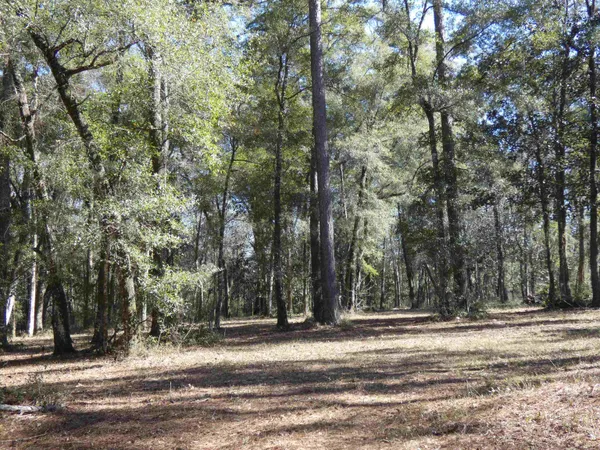 $549,000 | 640 Nautilus Drive, Monticello, FL 32344